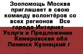 Зоопомощь.Москва приглашает в свою команду волонтёров со всех регионов - Все города Интернет » Услуги и Предложения   . Кемеровская обл.,Ленинск-Кузнецкий г.